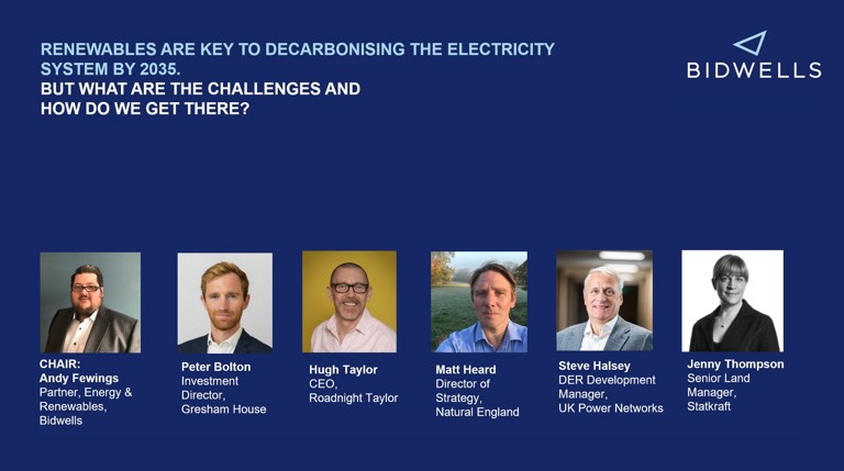 Renewables panel