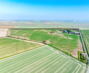 Cowsland Farmland, South Leverton picture 4