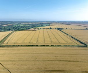 Manor Farm Lot 2, Lower Heyford picture 2