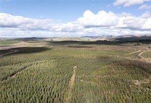 TD8 6NW picture 4
